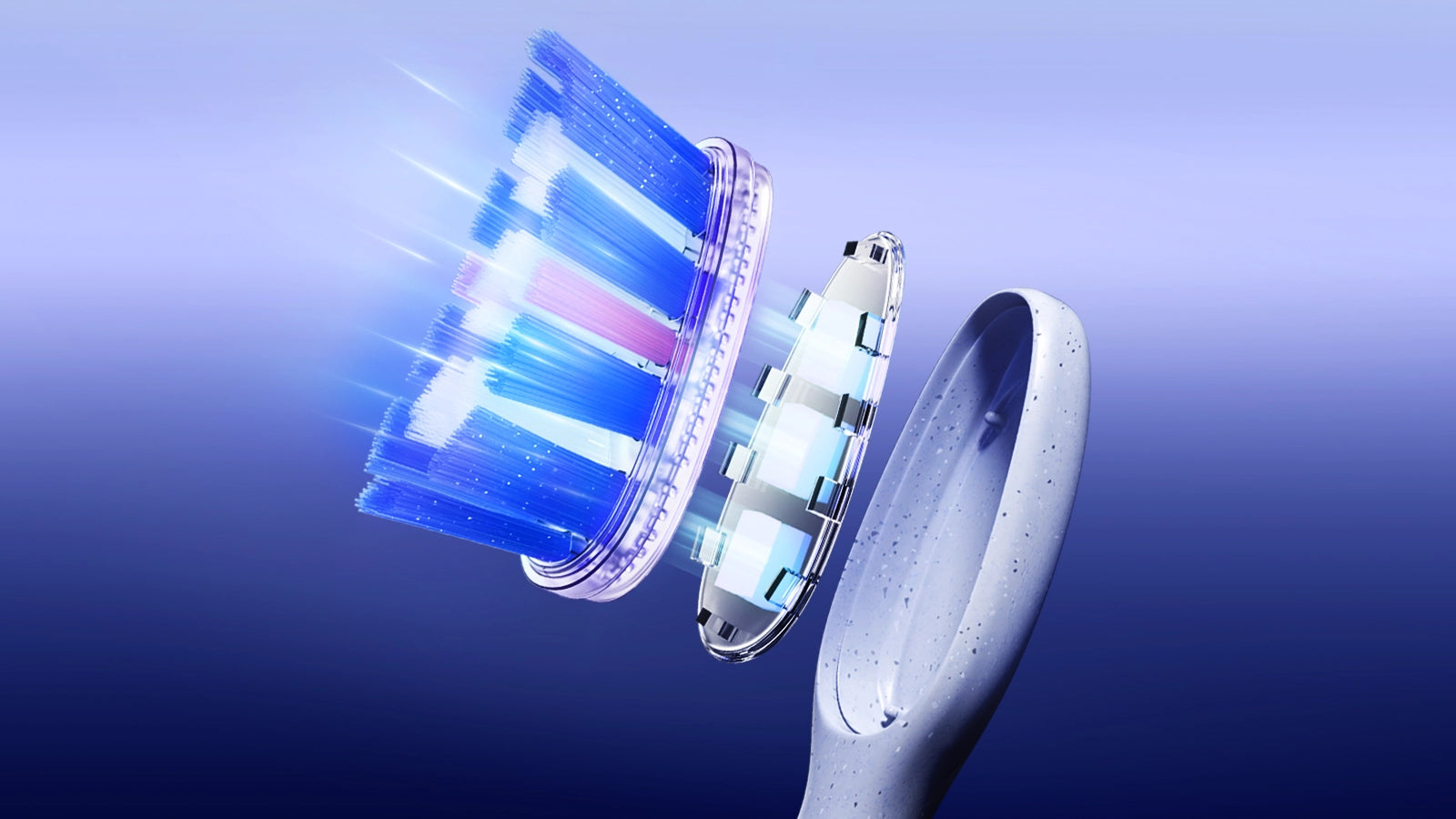 Brush-head detail