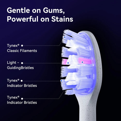 Bixdo W60 brush head close-up with light-guiding bristles
